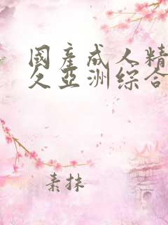 国产成人精品久久亚洲综合