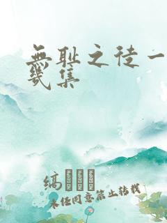 无耻之徒一共有几集