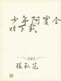 少年阿宾全文txt下载