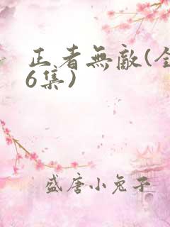 正者无敌(全36集)