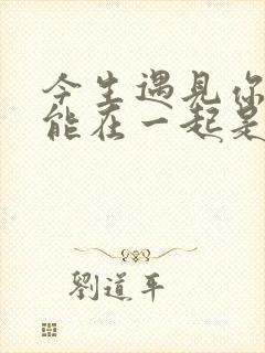 今生遇见你却不能在一起是什么歌