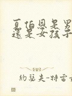 夏伯恩是男孩子还是女孩子