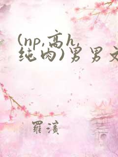 (np,高h,纯肉)男男文