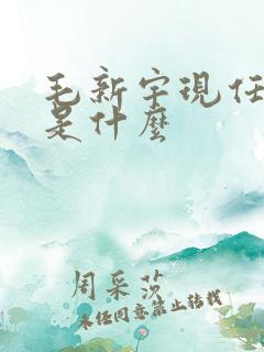 毛新宇现任级别是什么