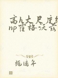 高h大尺度纯肉np霍格沃兹