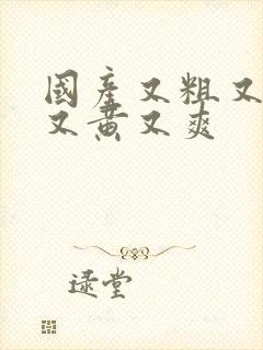 国产又粗又猛大又黄又爽