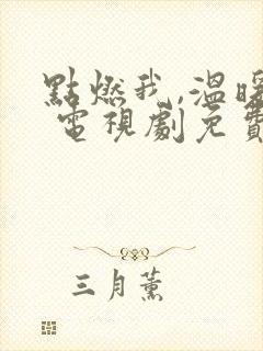 点燃我,温暖你 电视剧免费