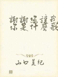 谢谢您让我遇见你是什么歌