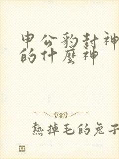 申公豹封神榜封的什么神