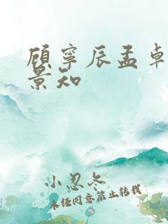 顾宁辰孟卓钰林景知