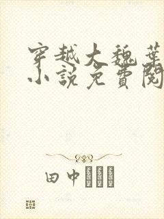 穿越大魏叶离的小说免费阅读