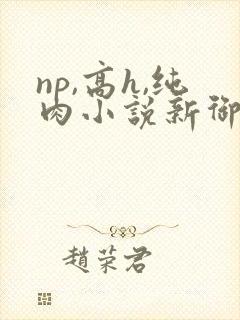 np,高h,纯肉小说新御书屋