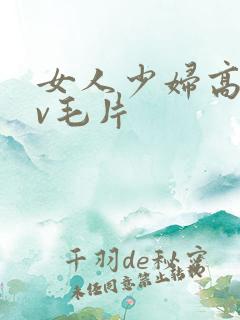 女人少妇高潮av毛片