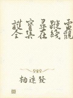 护宝寻踪电视剧全集在线观看免费播