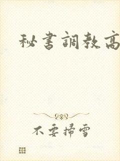 秘书调教高h