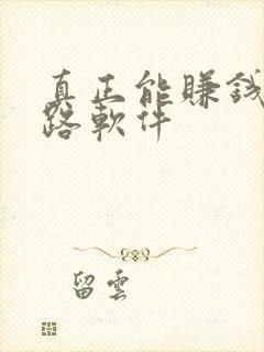 真正能赚钱的走路软件