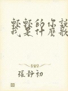 轻轻的你说的爱我是什么歌