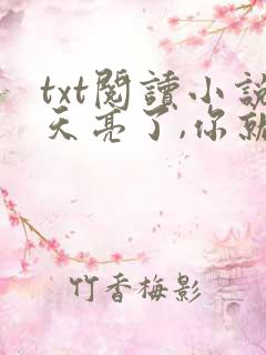 txt阅读小说天亮了,你就回来了