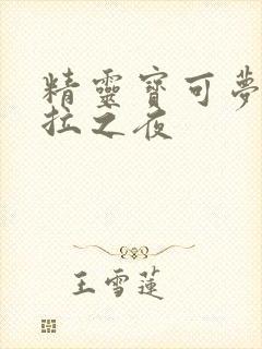 精灵宝可梦阿罗拉之夜