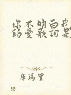 你不明白我对你的爱歌词是什么歌