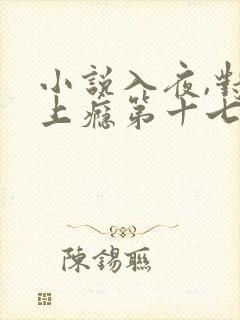 小说入夜,对她上瘾第十七章