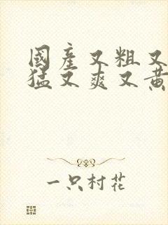 国产又粗又长又猛又爽又黄的网站