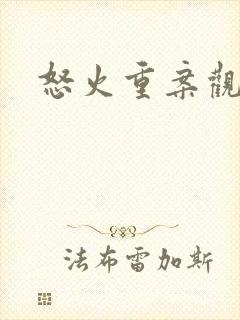 怒火重案观后感