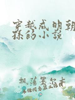 穿越成明朝皇太孙的小说