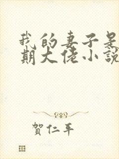 我的妻子是大乘期大佬小说txt下载