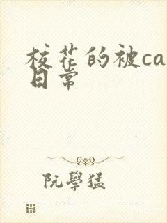 校花的被cao日常