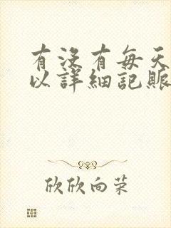 有没有每天都可以详细记账的软件