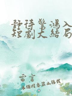 静待惊鸿入瓮慌短剧大结局