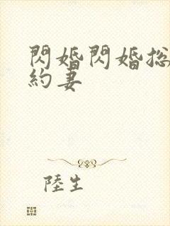 闪婚闪婚总裁契约妻