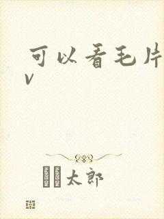 可以看毛片的av