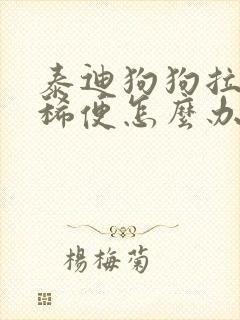 泰迪狗狗拉黑色稀便怎么办