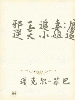 邪王追妻:废材逆天小姐追书