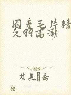 国产毛片精品久久99高潮