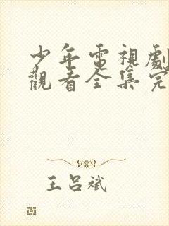 少年电视剧免费观看全集完整版高清