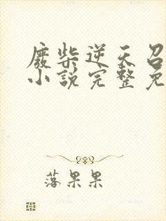 废柴逆天召唤师小说完整免费