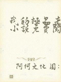 我的极品老婆 小说免费阅读