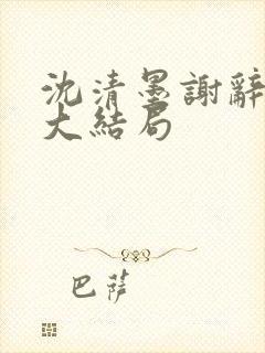 沈清墨谢辞后续大结局