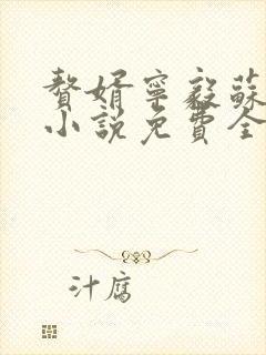 赘婿宁毅苏檀儿小说免费全文阅读