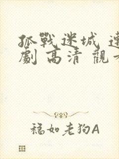 孤战迷城 连续剧 高清 观看