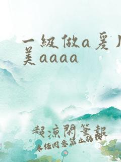 一级做a爰片欧美aaaa
