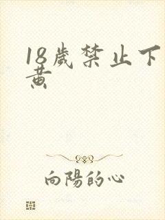 18岁禁止下载黄