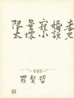 限量宠婚老公别太坏小说免费阅读