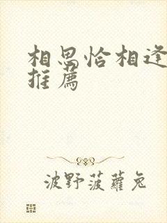 相思恰相逢好剧推荐