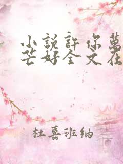 小说许你万丈光芒好全文在线阅读