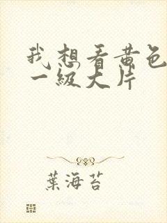 我想看黄色录像一级大片