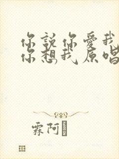 你说你爱我你说你想我原唱完整版